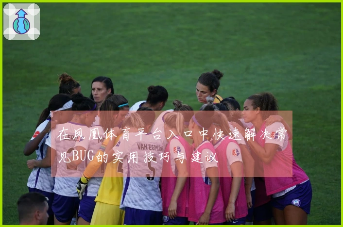 在凤凰体育平台入口中快速解决常见BUG的实用技巧与建议