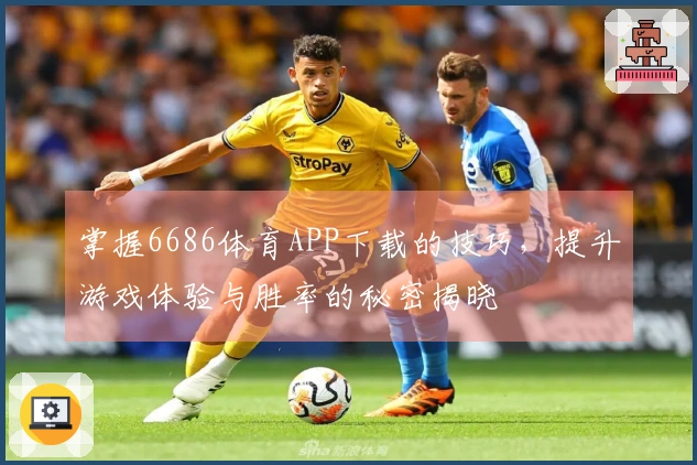 掌握6686体育APP下载的技巧，提升游戏体验与胜率的秘密揭晓